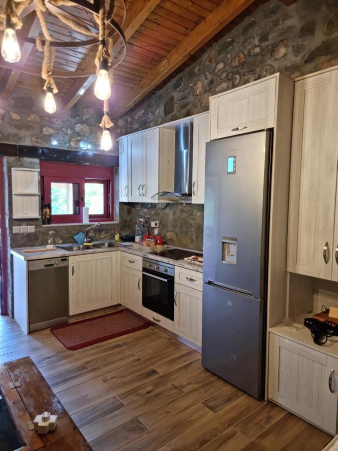 House With Big Garden And Barbeque In Nature Vourgareli Екстер'єр фото